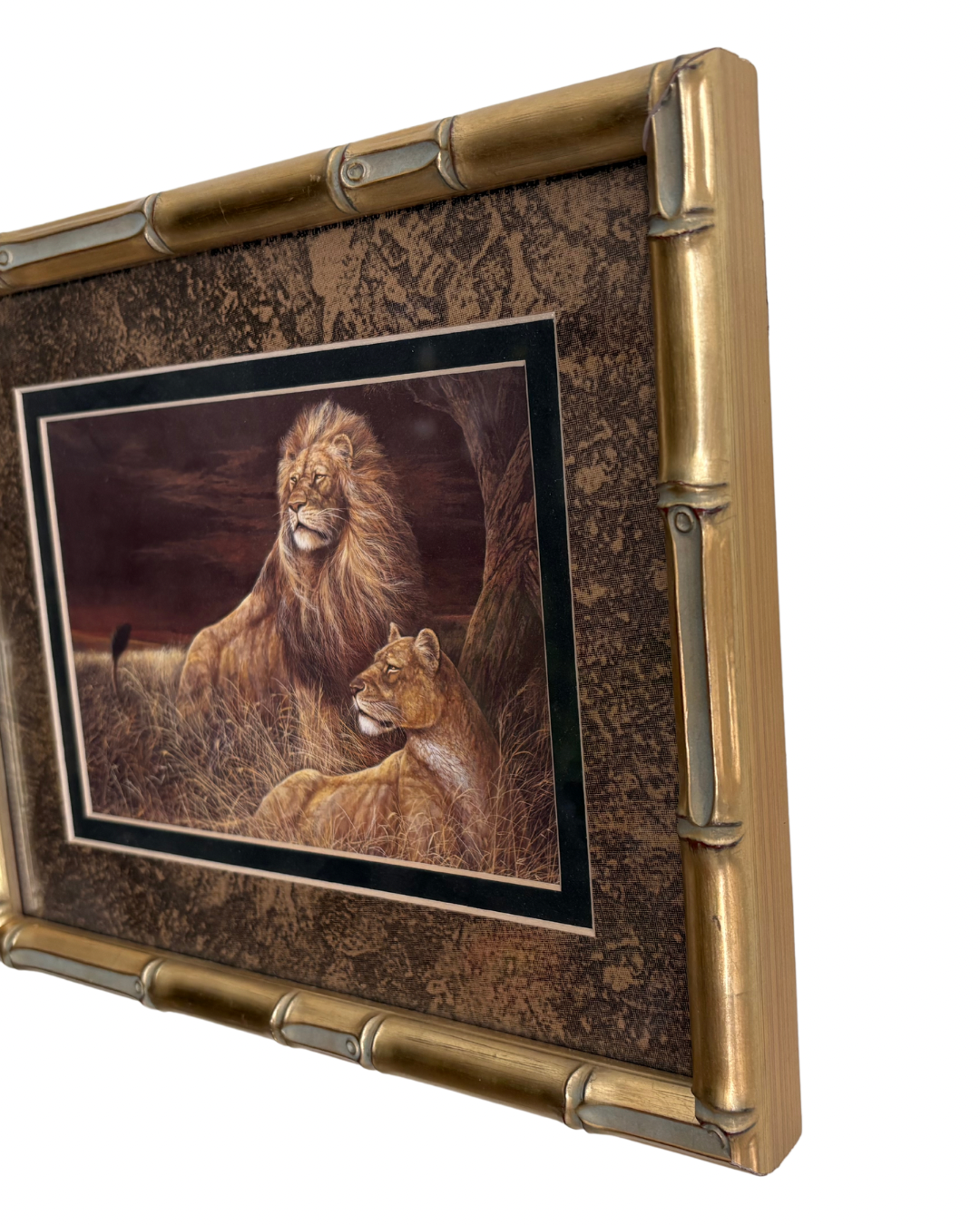 Lion & Lioness Fine Art Print